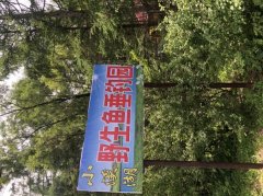 梅河口“”小溪湖野生鱼垂钓园”欢迎你