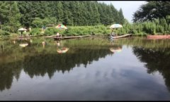 梅河口“小溪湖野生鱼垂钓园”欢迎您