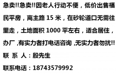 急卖!!急卖!!低价出售福民平房