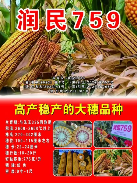 你有梦想有能力，我有平台供你展示