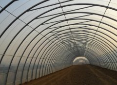 种植大棚 专业大棚建造 质量保证 智博农业科技