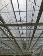 阳光板温室大棚 专业建造 质量保证 智博农业科技