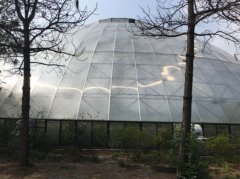 阳光板温室大棚 专业建造 质量保证  智博农业科技