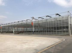 畜牧大棚 厂家直销 高品质建造 智博农业科技