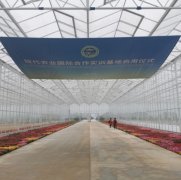 生态餐厅温室 厂家直销 质量保障 智博农业科技