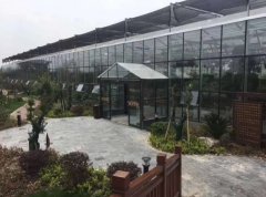 花卉温室大棚 大棚厂家 质量保证 智博农业科技