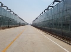 温室大棚造价 经久耐用 厂家直销 智博农业科技