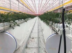 温室大棚造价 经久耐用 厂家直销 智博农业科技
