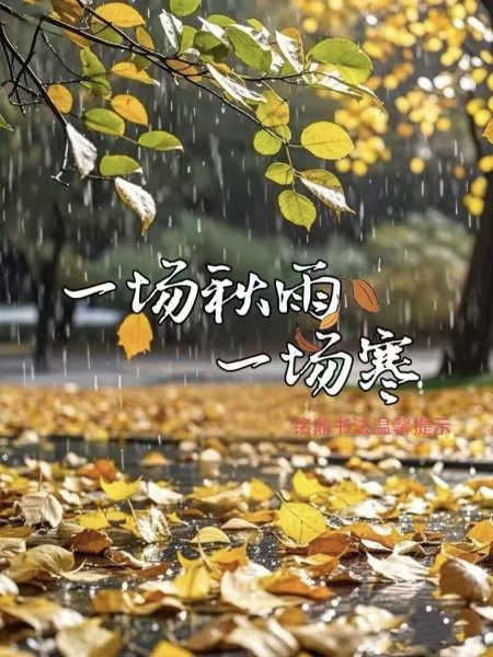有爱心教务老师