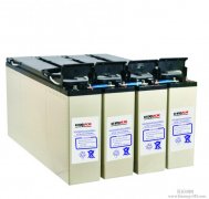 长春电瓶机房UPS电池eps干电池多少钱一块