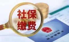 广州本地社保规划专家 专攻社保补缴业务 高效省心省力