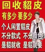 实价收貂，不报虚价